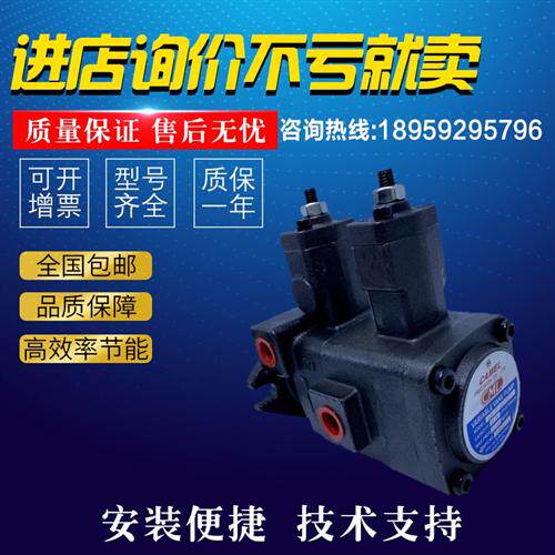 新款叶片泵VCM-DF-40A/40B/40C/40D-40A/40B/40D-10液现货