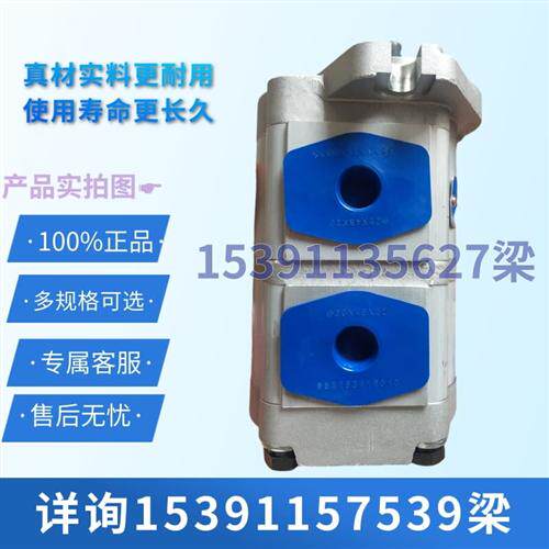 新款合肥皖液CBTLDF-F308/F303-AL4液压齿轮油泵压力双联油现货
