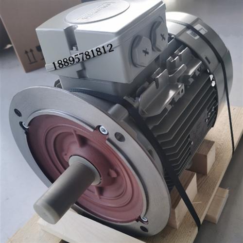 进口电机1LE1001-1CB23-4FA4-Z7.5KW立式4极异步交流电动机