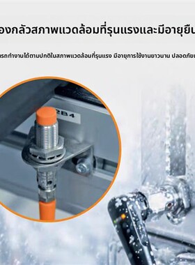 IFM易福门接近开关IFS200 IFT240 IIS238 IIT209 IG IGT IGS IE