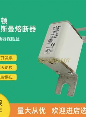 全新快速熔断器保险170M2666 170M2667 170M2668 170M2669