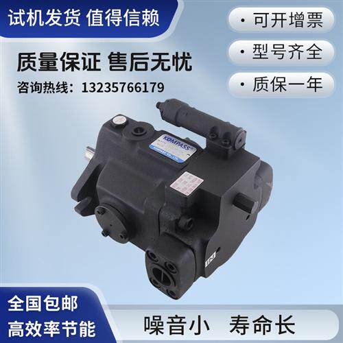 新款油泵V15/V18/V23/V25/V38/V42/V70/A4R10X/现货