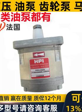 新款法国进口HPI齿轮油泵P1BAN1004CL10B01N/C5074932 P1cBN1现货