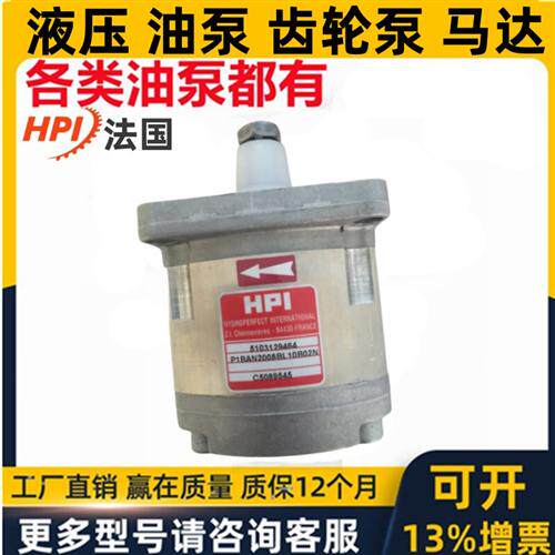 新款法国进口HPI齿轮油泵P1BAN1004CL10B01N/C5074932 P1cBN1现货