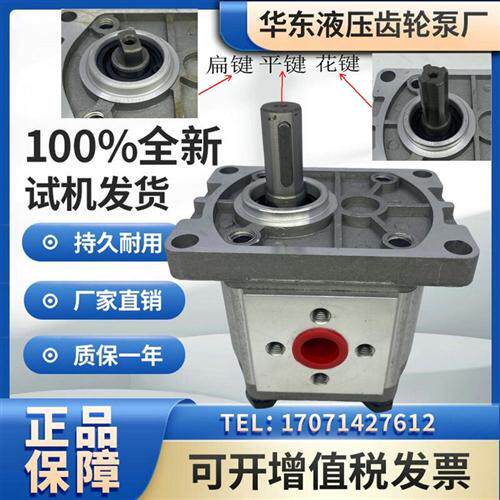 新款齿轮泵CBN-F304/F306/F308/F310/F312/F314/F316/F318/F3现货