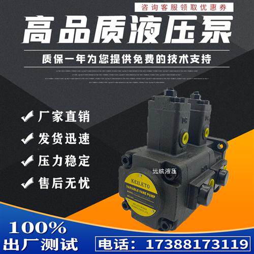 新款叶片泵VP40-40-FA3 VP30-30-FA3 VP-40-40 液压变现货