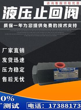 新款ASHUN台湾原装油顺CPTS-03-50-10引导逆止管式液控止逆阀现货