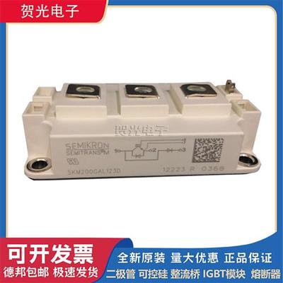 西门康IGBT模块可控硅 SKM200GAR12E4/ SKM200GAR123D现货