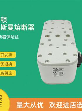 全新快速熔断器保险170M7622 170M7633 170M7636 170M7639
