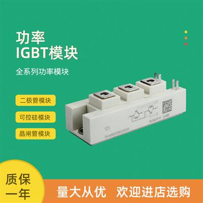 全新功率IGBT模块SKM100GB126DN SKM145GB126DN SKM195GB126DN