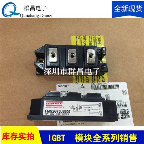 FMG2G75US600 FMG2G75US60 FMG2G100US60 FMG2G150US60 FMG2U75US