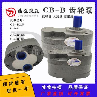 新款齿轮泵CB-B6/B10/B4/B16/B20/B32/B50/B2.5液压油泵F润滑现货