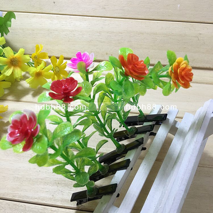 发夹小豆芽卖萌风头上长草