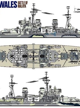 丹东网购 田宫 31615 1/700 英国 威尔士亲王 战列舰