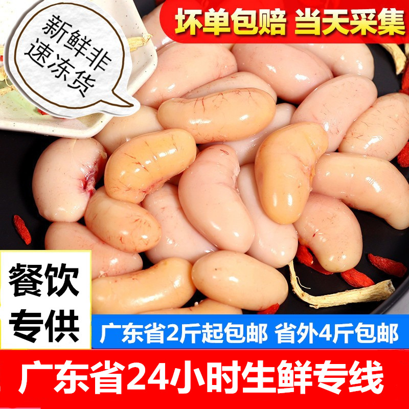 餐饮商用4斤包邮三黄鸡子新鲜广东鸡腰子鸡春鸡睾核鸡肾1斤带血丝