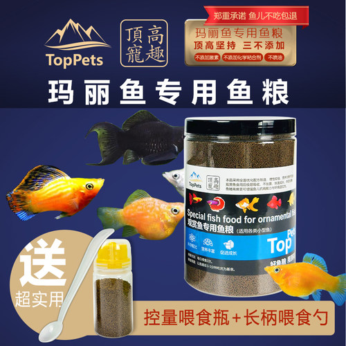 金玛丽鱼专用鱼粮银玛丽金玛丽红玛丽黑玛丽超细小颗粒高蛋白鱼食