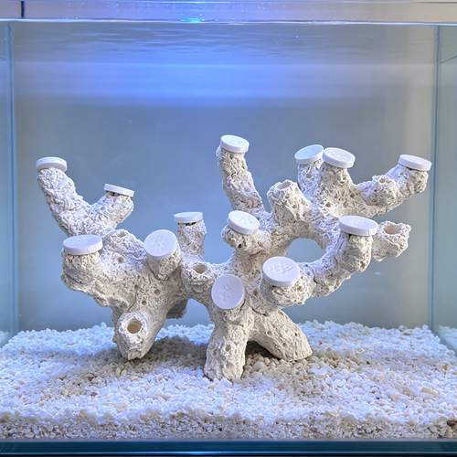 60缸海缸造景陶瓷底座 LPS软体珊瑚基座 高透水景观摆件