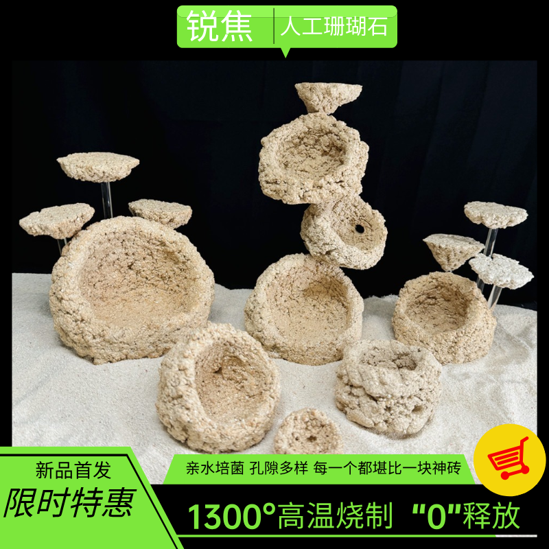 奶嘴海葵窝珊瑚防跑繁殖躲避罐支架基座爪哇基拉戈干岩石造景