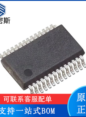 ADS807E ADS807 封装SSOP28 模数转换器芯片 全新原装