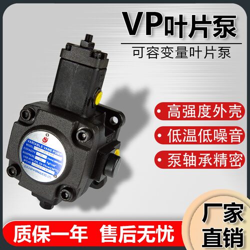 vp变量叶片泵液压站泵头液压油泵