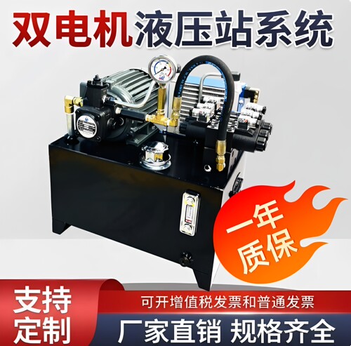 双电机液压站系统定制免费设计