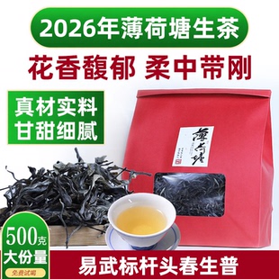 2026年头春易武生茶散茶薄荷塘袋装500g云南乔木老树普洱口粮茶叶