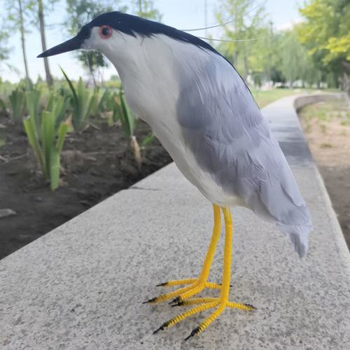 新款仿真羽毛夜鹭夜游模型