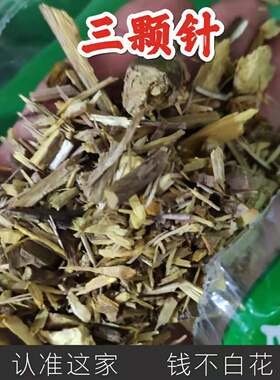 正品 三颗针中草药 钢针刺东北小檗黄芦木狗奶子黄柏刺 500克包邮