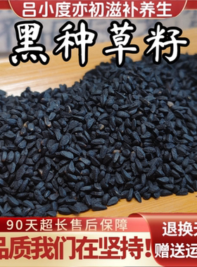 黑种草籽中药材新疆生白变黑滋养新鲜干货非野生头发大粒黑种草子