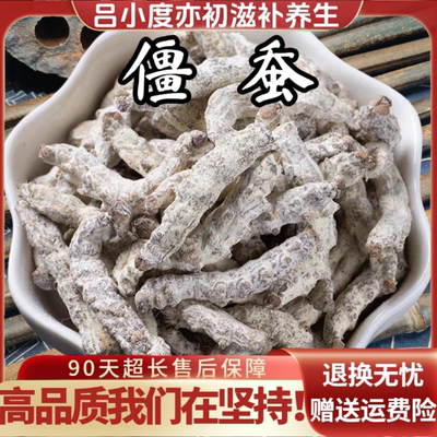 白僵蚕饮中药材片搭秦艽粉新鲜干货非野生泡酒姜虫姜蚕僵虫大天虫