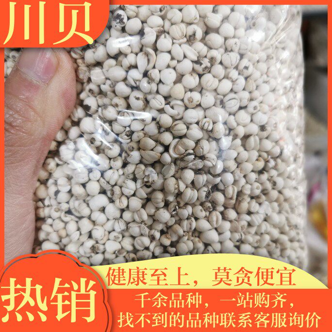 川贝母 中药材100克贝母 勤母 药实 虻黄虻 莔 正品 炉贝青贝松贝