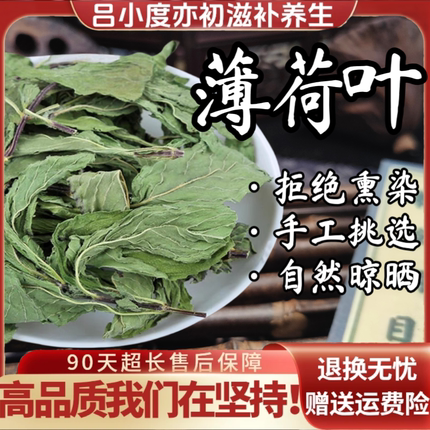 薄荷叶干茶中药材商用泡水喝新鲜干货非野生调酒粉大片薄荷干叶茶
