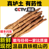 垆土铁棍山药正宗河南焦作温县怀山药特产当季 5斤新鲜铁杆淮山药