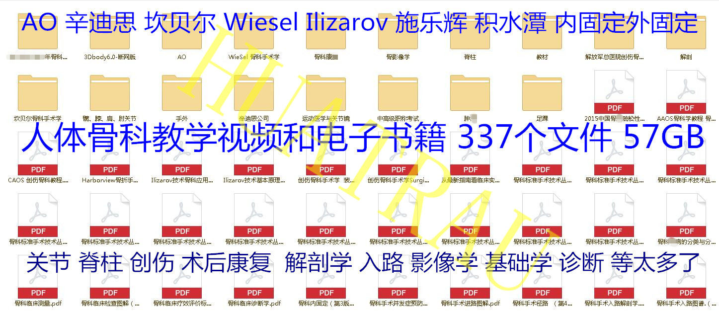 骨科手术视频教学电子书籍AO辛迪思关节创伤脊柱影像入路学教程