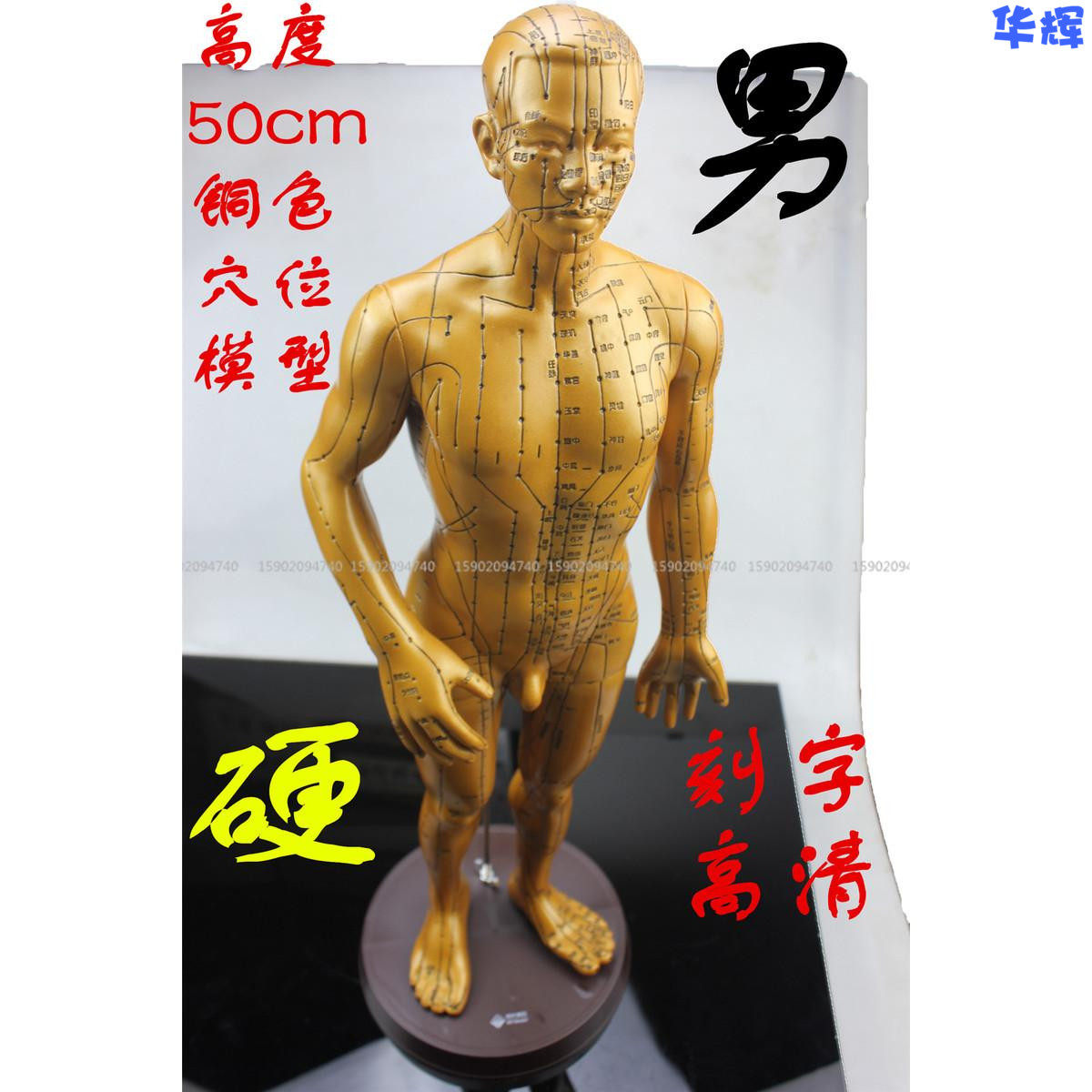 针灸铜人刻字人体穴位模型男性中医教学推拿按摩教学高清硬模型