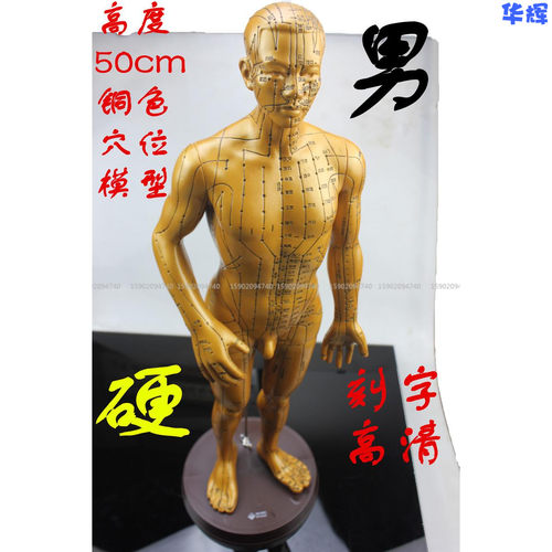 针灸铜人刻字人体穴位模型男性中医教学推拿按摩教学高清硬模型