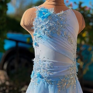 现代舞设计定制体操花样滑冰服舞台表演服轮滑考级儿童成人女K318