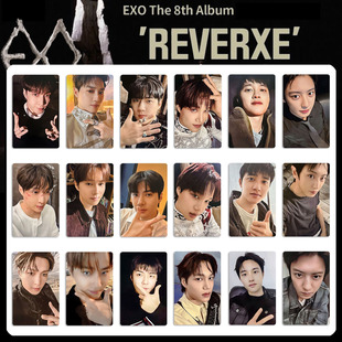 vision小芒中文特典卡签售小卡 EXO专辑REVERXE周边小卡Ex