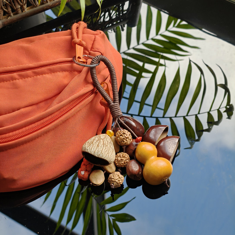 印尼植物果壳手摇铃风铃串手工制作果壳包包挂件木质车挂钥匙扣,服饰配件/皮带/帽子/围巾,包挂件,淘宝优惠券,粉丝福利购,淘宝优惠卷