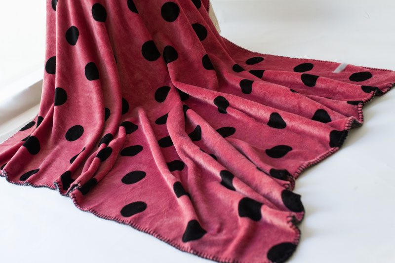 包邮夏秋美式乡村珊瑚绒薄毯午睡毯空调毯子汽车毯婴幼儿毯学生毯