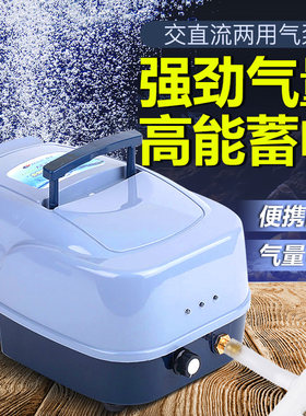 日生静音大功率便携式12v氧气泵