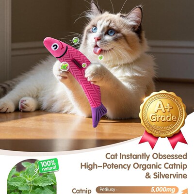 Interactive Soft Chew Cat Toy