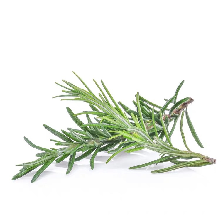 BasilleavMintRomaryfE