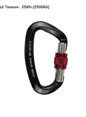 25KN Professional Climbing Carabiner D Shape Aviation Alumin