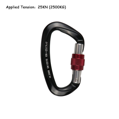 25KNProfessionalCmbgD