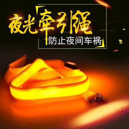 Nylon LED Light Up Dog Leash Night Safety LED Flashing Glow
