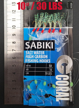 Lunker Sabiki lure flasher rig hook soft bait luminous eel g