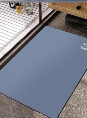 quick dry toilet door mat mat bathroom MATS carpets 浴室地垫
