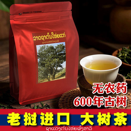 老挝丰沙里古树茶大树茶