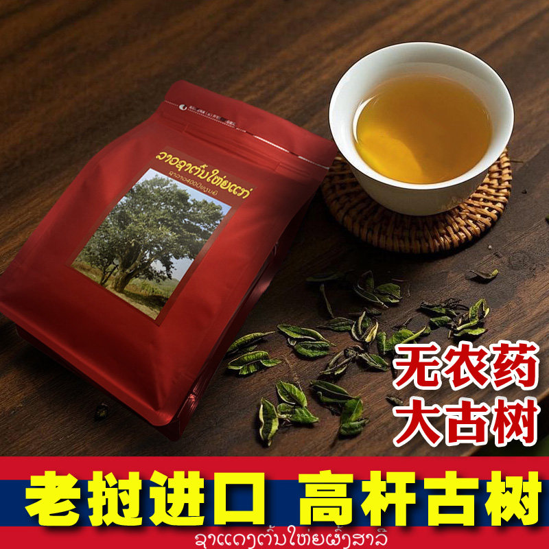 老挝丰沙里高杆古树茶年份老普洱茶生茶兰花香蜜甜回甘高端茶特级